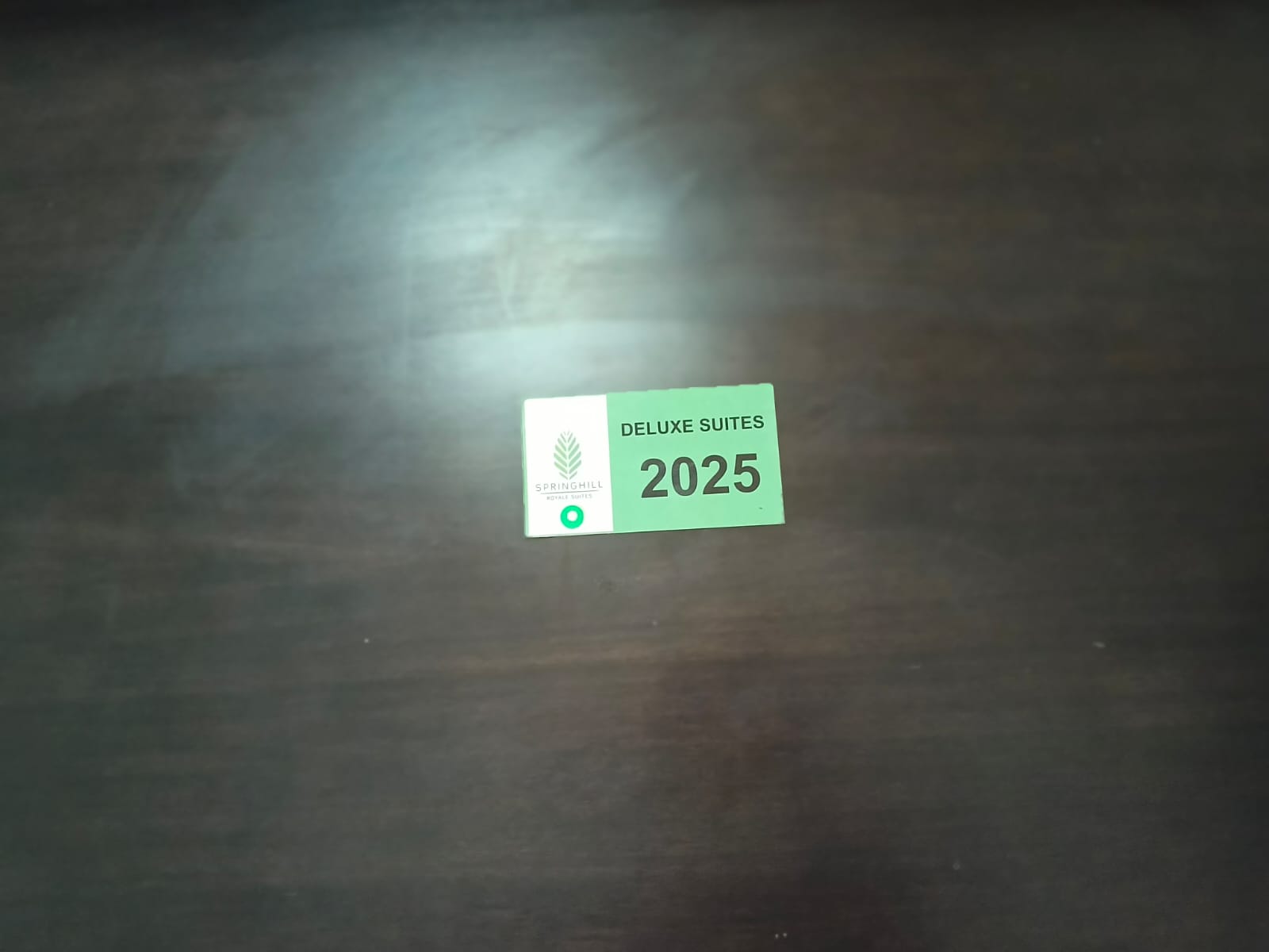 Deluxe Suites in Springhill Royale Suites (Unit 2025 Ambasador) 